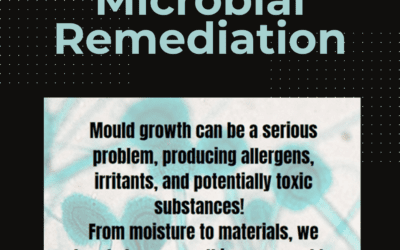 Understanding Microbial Remediation: Mould Prevention and Treatment